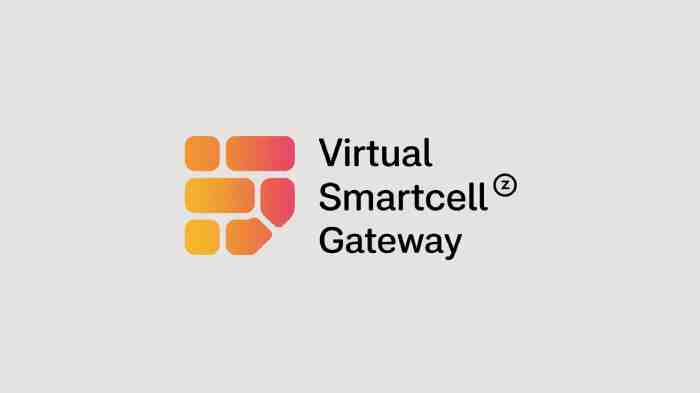 ruckus virtual smartcell gateway