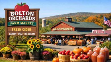 Bolton Orchards
