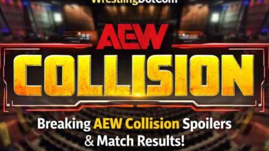 collision spoilers