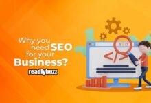 SEO Optimization Zanzibar