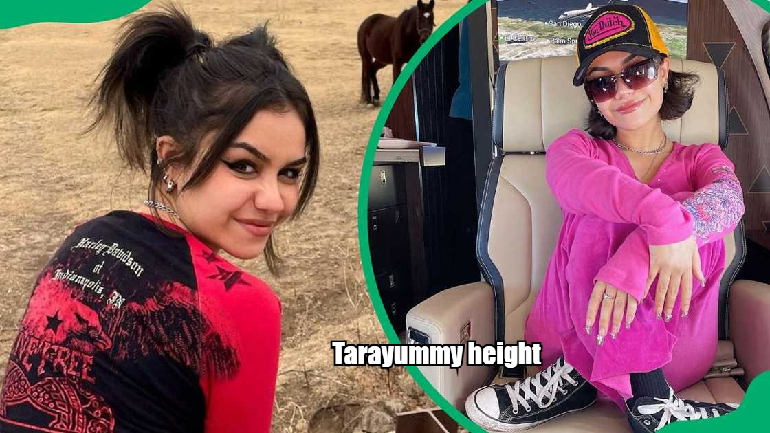 Tarayummy height